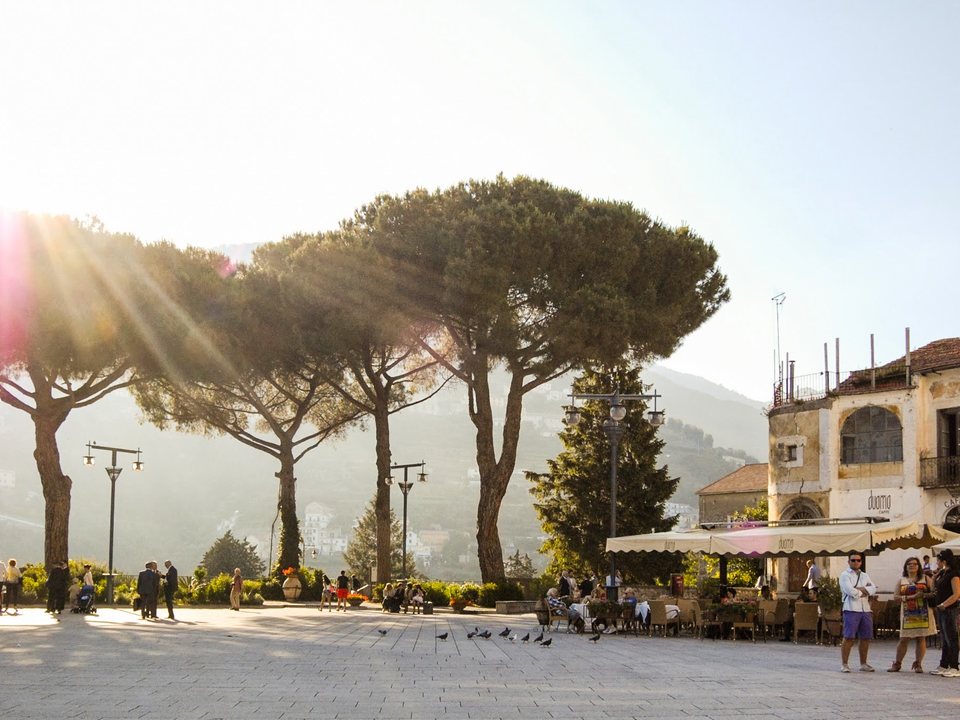 Evening light through umbrella pines on an Italian piazza