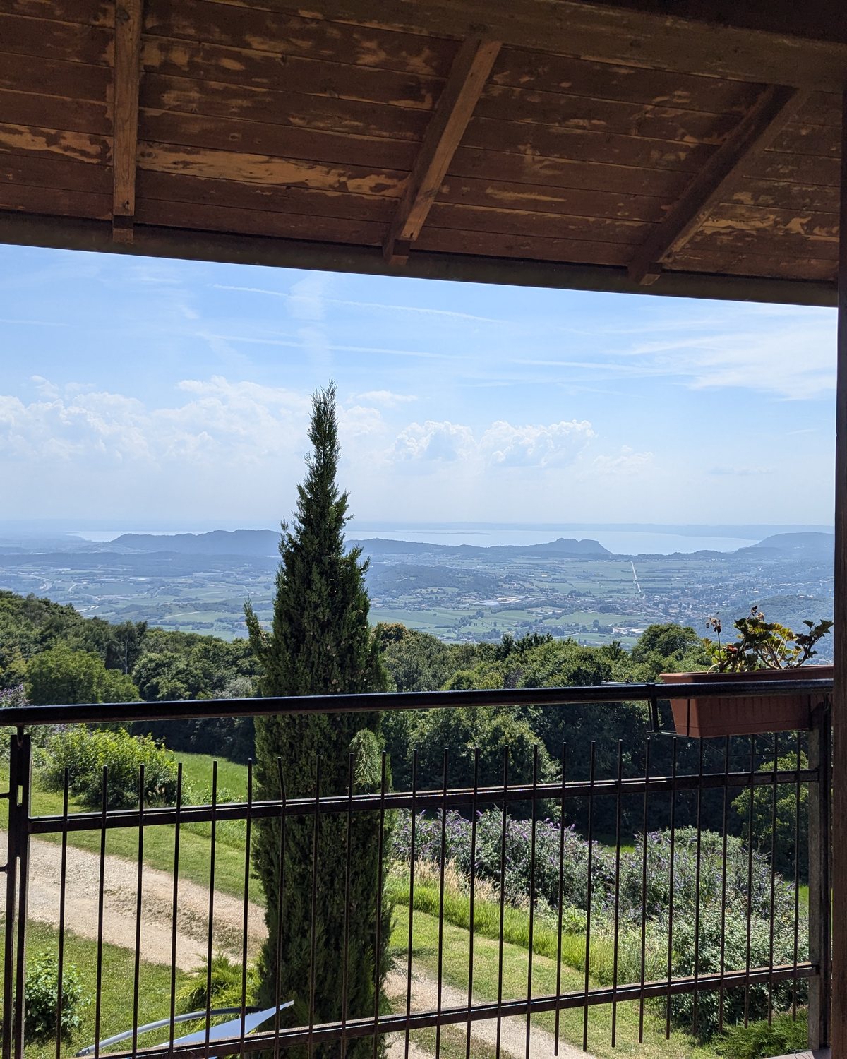 A vine-shaded veranda looking over olive country